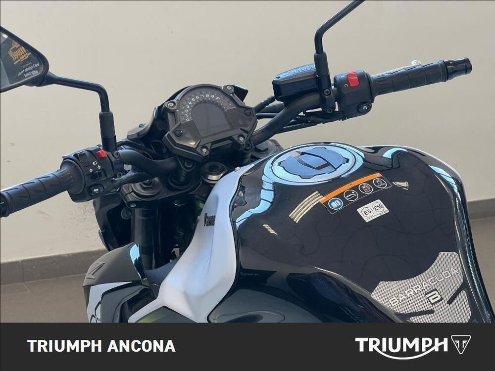 Kawasaki Z 900 (2019) (3)