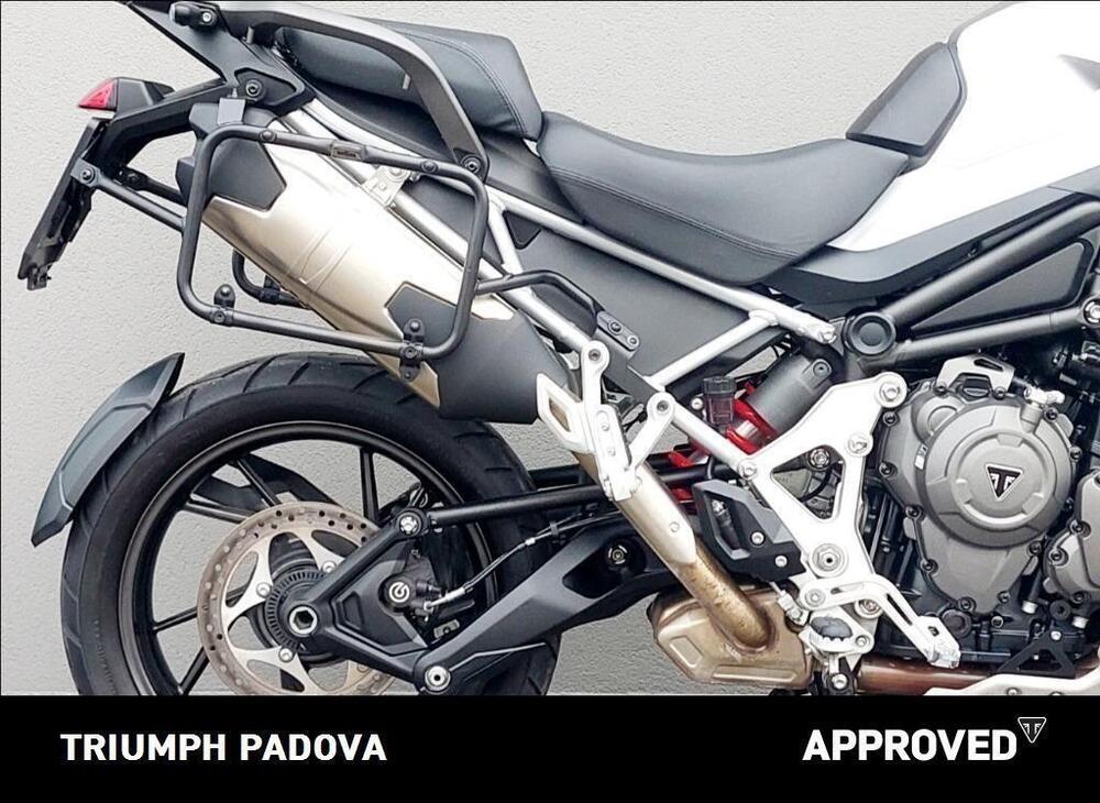 Triumph Tiger 1200 GT Pro (2022 - 23) (2)