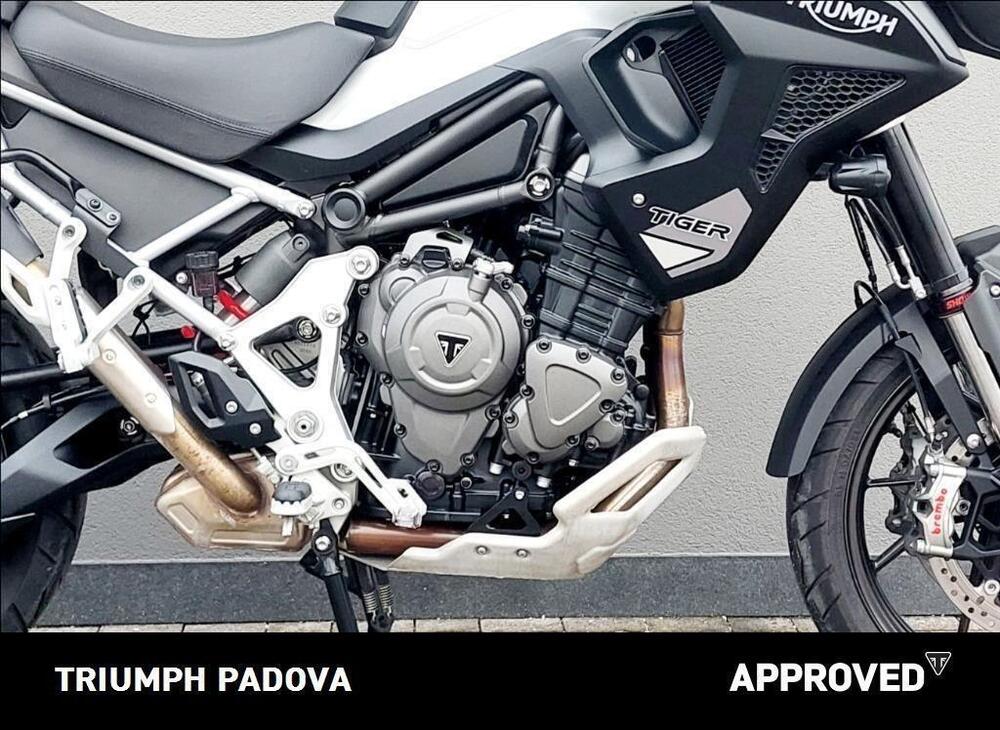 Triumph Tiger 1200 GT Pro (2022 - 23) (3)