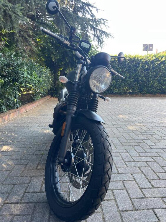 Triumph Street Scrambler 900 (2017 - 18) (3)