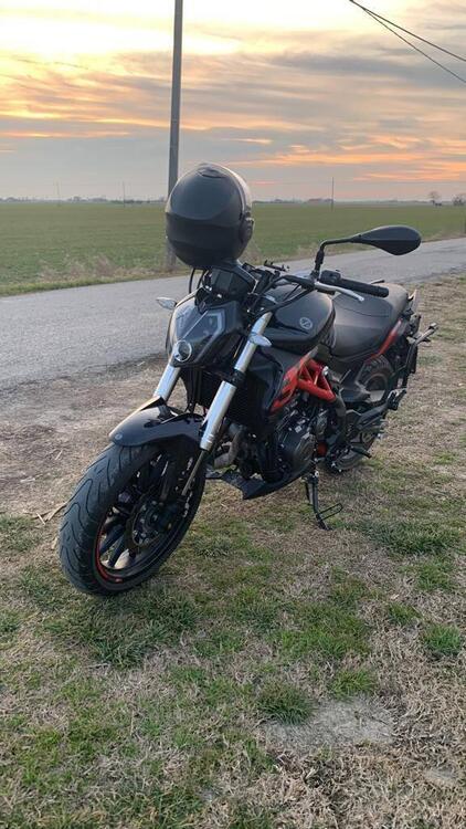 Benelli BN 302 S (2019 - 20) (3)