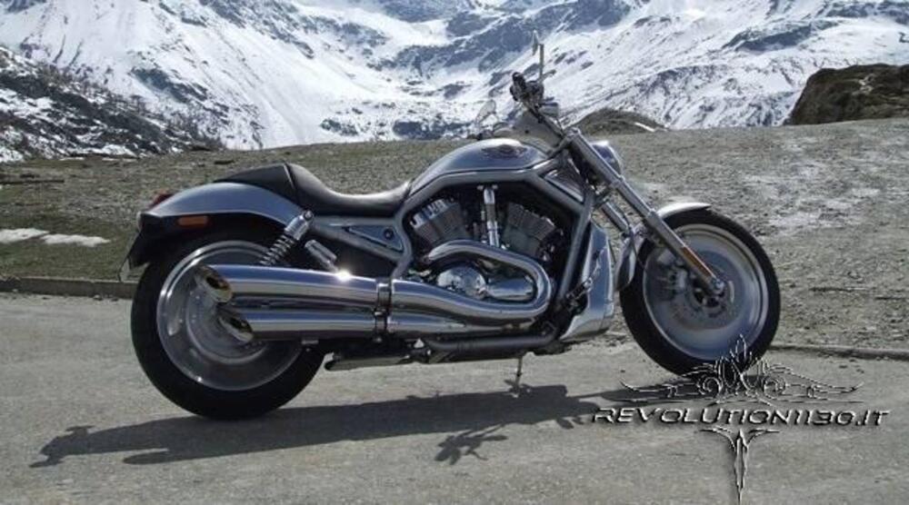 Harley-Davidson 1130 V-Rod (2002 - 05) - VRSCA (5)