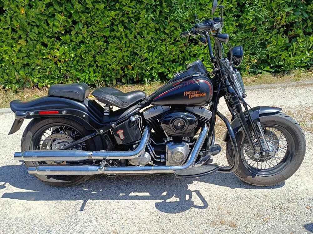 Harley-Davidson 1584 Cross Bones (2008 - 11) - FLSTSB (3)