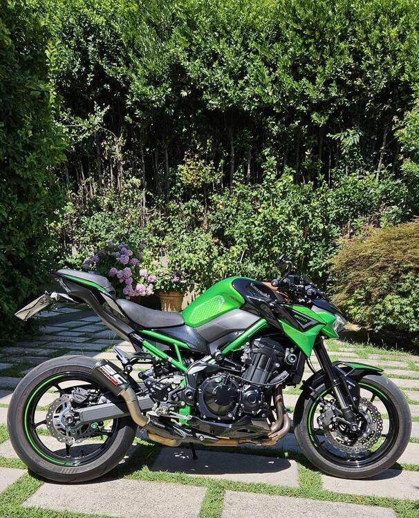 Kawasaki Z 900 (2021 - 24) (2)