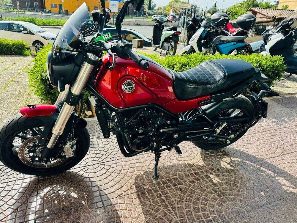 Benelli Leoncino 500 (2021 - 24) (2)