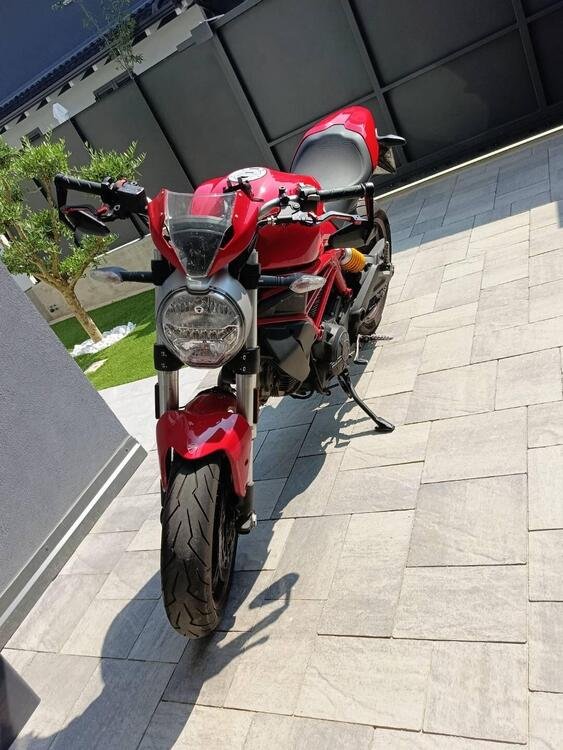 Ducati Monster 797 Plus (2019) (5)