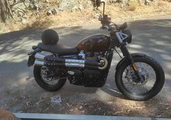 Triumph Scrambler 900 Stealth Edition (2024) usata