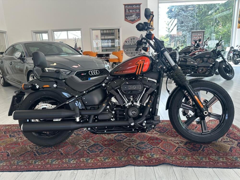Harley-Davidson Street Bob 114 (2021 - 24) (2)