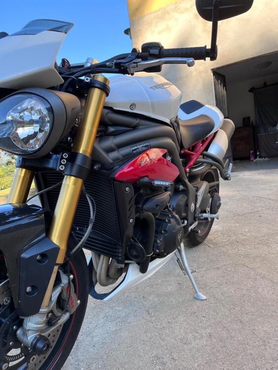 Triumph Speed Triple 1050 R ABS (2016 - 17) (3)