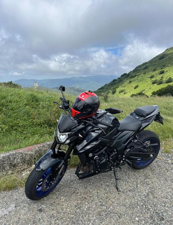 Suzuki GSX S 750 Yugen (2018 - 20) (5)