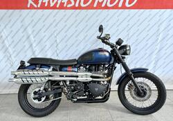 Triumph Scrambler (2006 - 17) usata