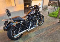 Harley-Davidson 883 (2006 - 07) - XL usata