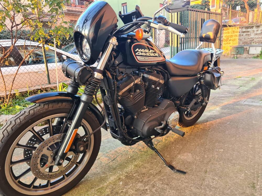 Harley-Davidson 883 (2006 - 07) - XL (5)