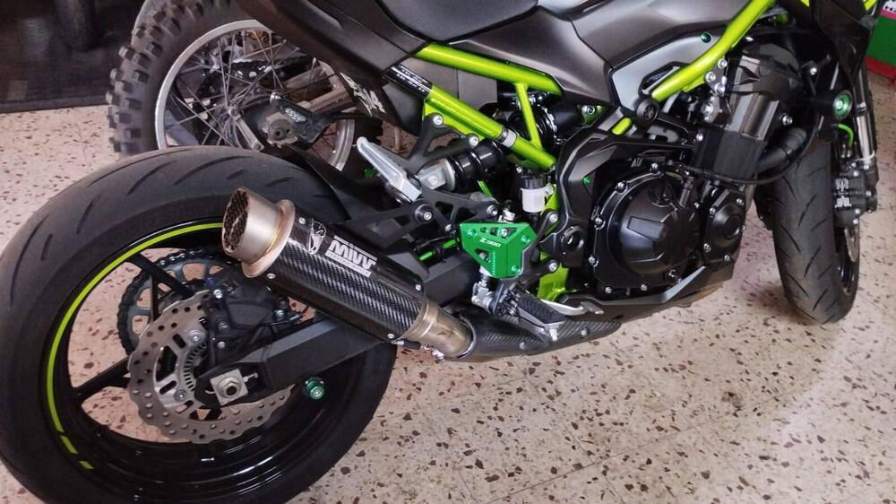 Kawasaki Z 900 Performance (2021 - 24) (4)