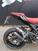 Ducati Monster 937 SP (2023 - 24) (14)