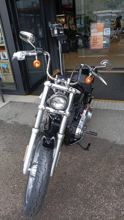 Harley-Davidson Softail Standard (2021 - 24) (3)