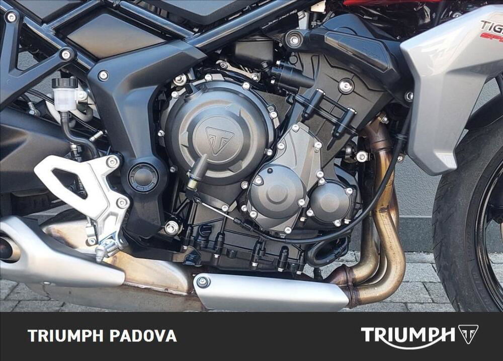 Triumph Tiger 660 Sport (2022 - 24) (3)