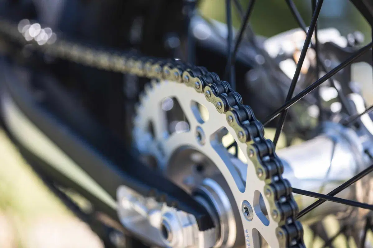 Enduro reinventato con la nuova gamma Beta RX Pro 2025 [VIDEO] (49)