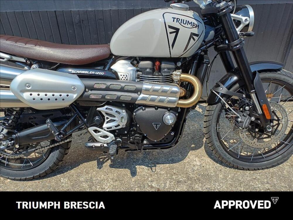 Triumph Scrambler 1200 X (2024) (5)