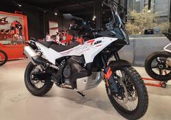 KTM 790 Adventure (2023 - 24) nuova