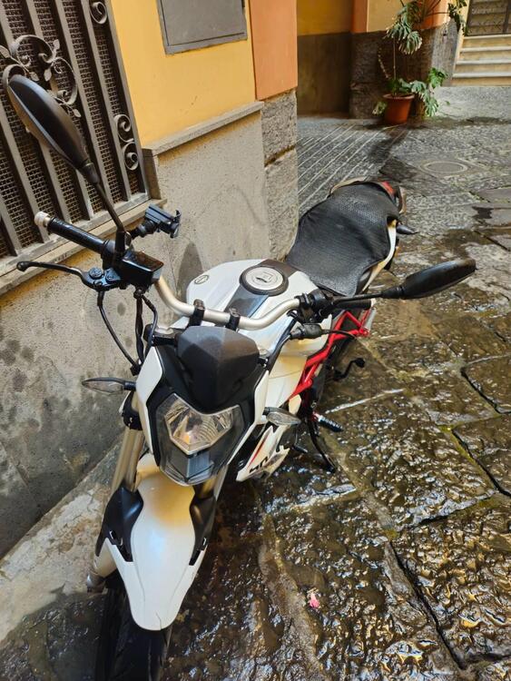 Benelli BN 125 (2021 - 24) (2)