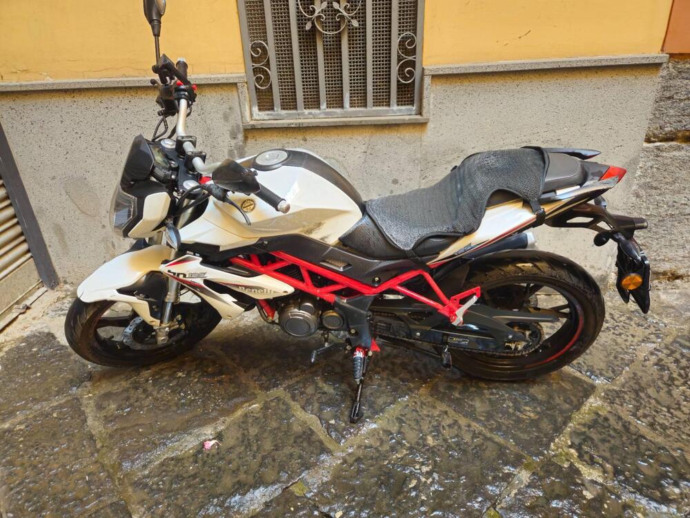 Benelli BN 125 (2021 - 24)