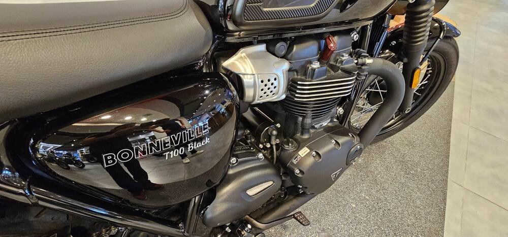 Triumph Bonneville T100 (2017 - 20) (2)