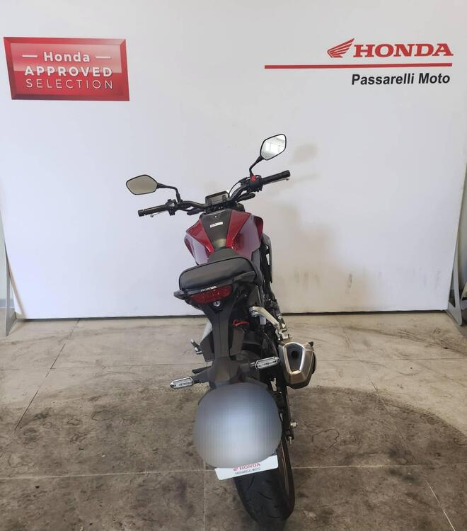 Honda CB 300 R (2022 - 24) (4)