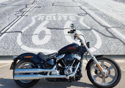 Harley-Davidson Softail Standard (2021 - 24) usata