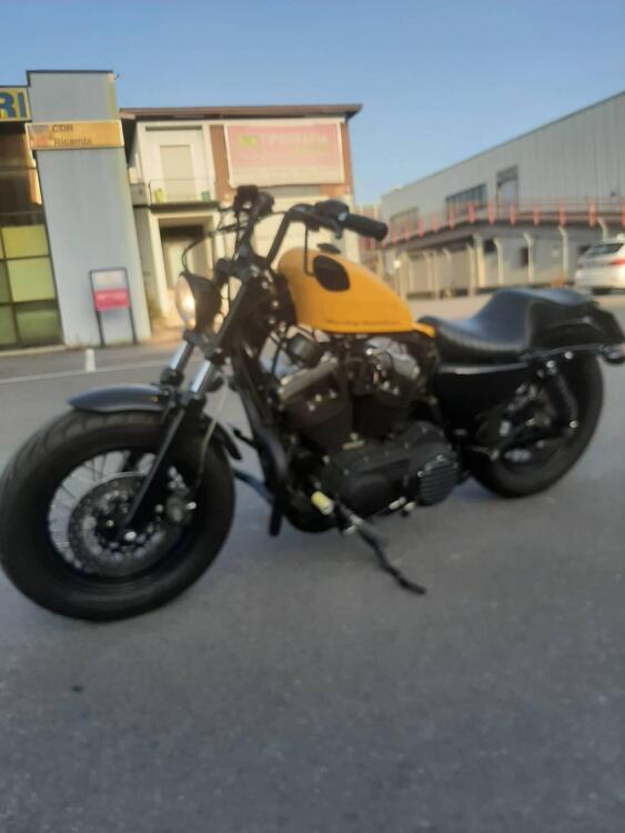 Harley-Davidson 1200 Forty-Eight (2010 - 15) (2)