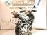 Bmw R 1200 GS Adventure (2006 - 07) (9)