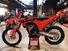 KTM SX 250 F (2024) (6)