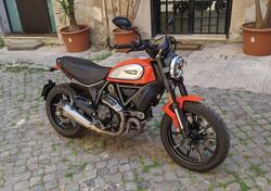 Ducati Scrambler 800 Icon (2017 - 20) usata