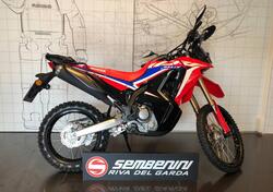 Honda CRF 300 Rally (2021 - 24) nuova