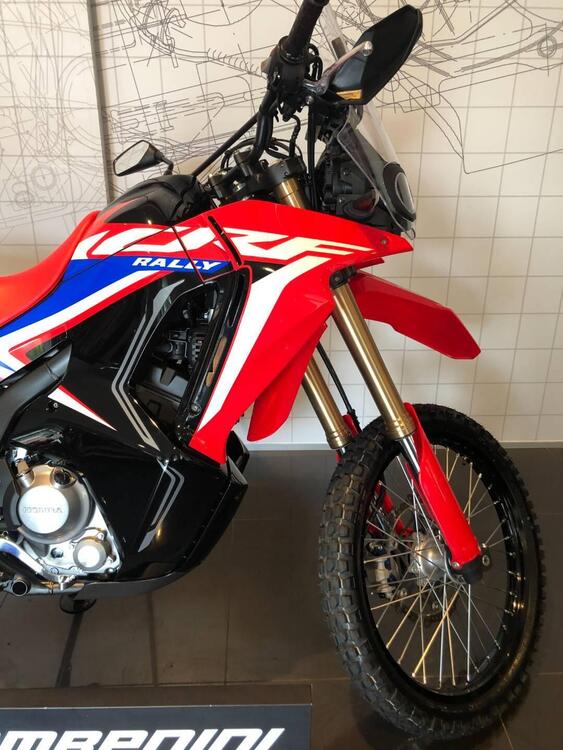 Honda CRF 300 Rally (2021 - 24) (2)