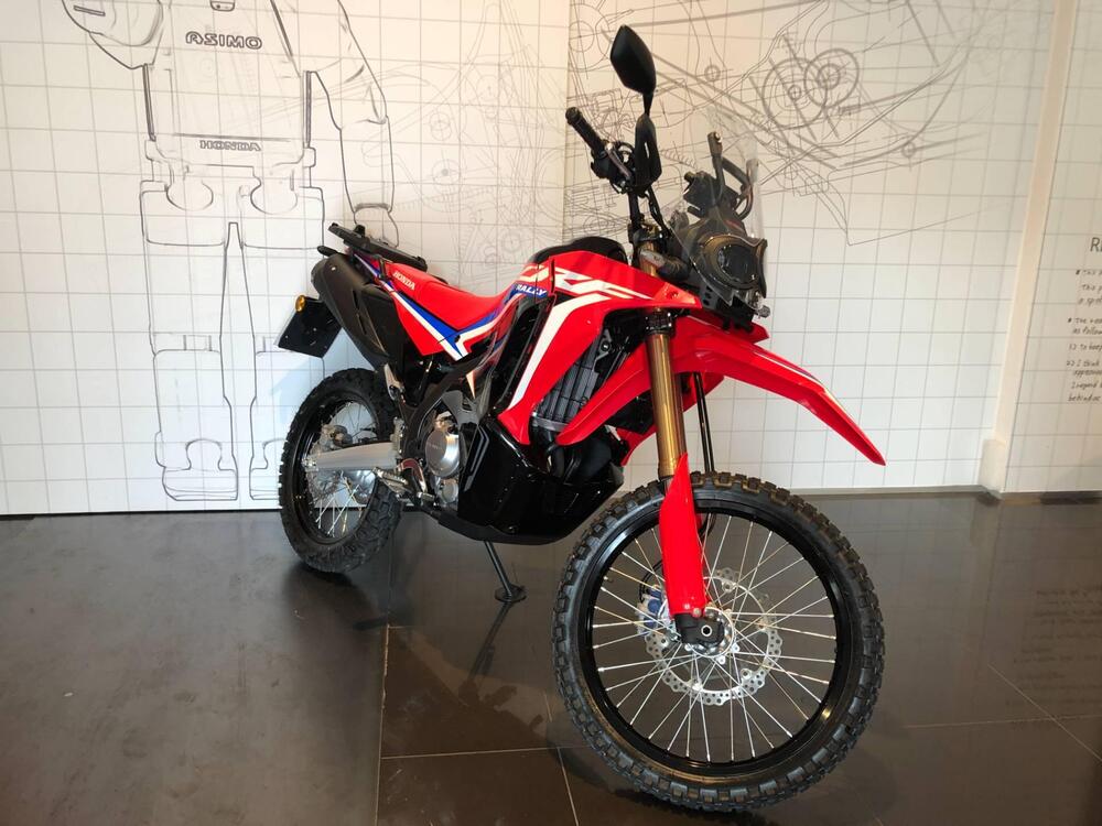 Honda CRF 300 Rally (2021 - 24) (3)