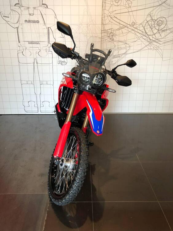 Honda CRF 300 Rally (2021 - 24) (4)