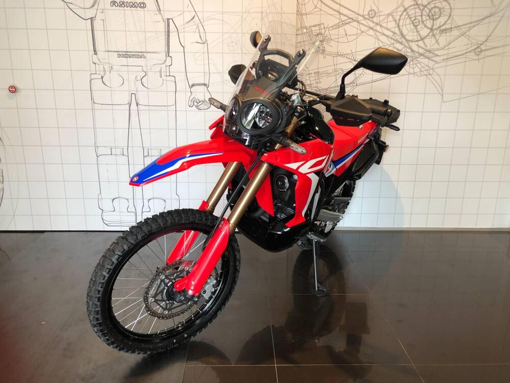 Honda CRF 300 Rally (2021 - 24) (5)