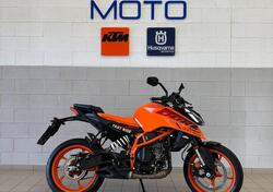 KTM 390 Duke (2024) usata