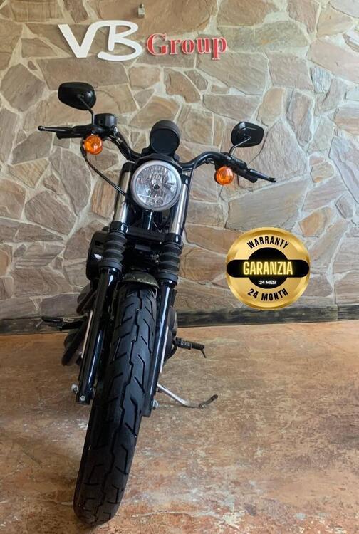 Harley-Davidson 883 Iron (2014 - 16) - XL 883N (4)