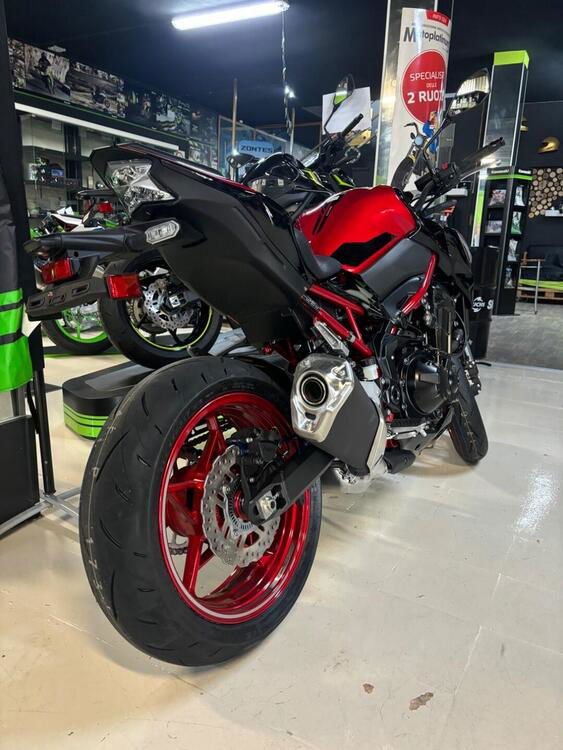 Kawasaki Z 900 (2021 - 24) (5)