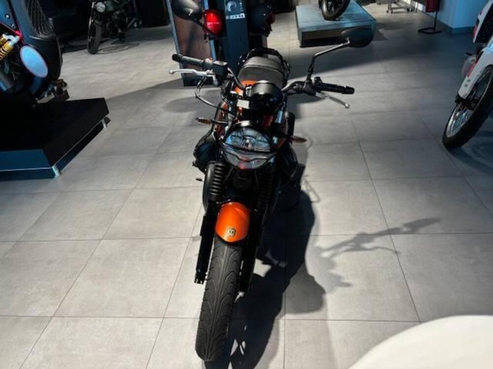 Moto Guzzi V7 Stone (2021 - 24) (4)