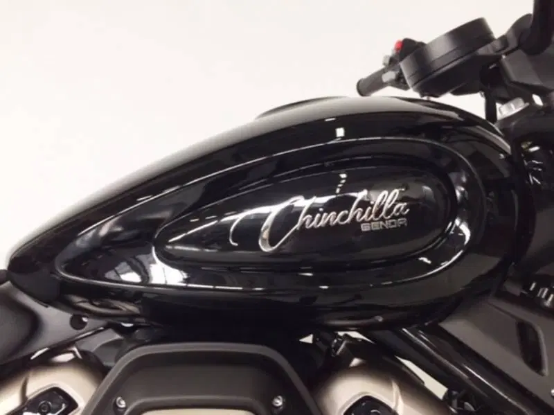 Benda Motorcycles Chinchilla 500 V2 (2025 - 26) (2)