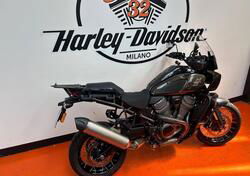 Harley-Davidson Pan America 1250 (2020 - 24) usata