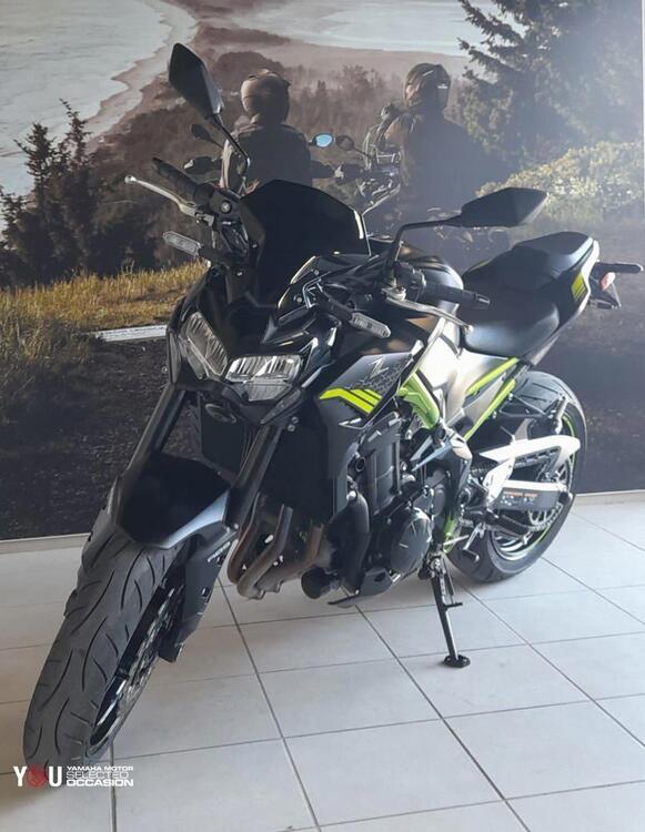 Kawasaki Z 900 (2021 - 24) (4)