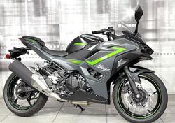 Kawasaki Ninja 500 SE (2024 - 25) nuova