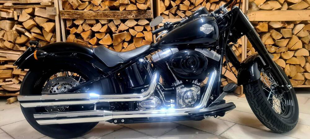 Harley-Davidson 1690 Slim (2011 - 16) - FLS