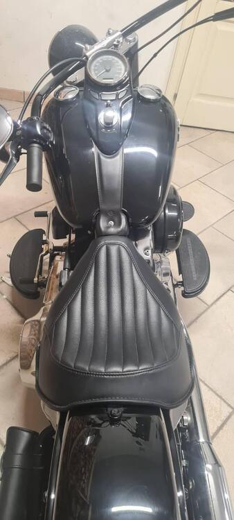 Harley-Davidson 1690 Slim (2011 - 16) - FLS (2)