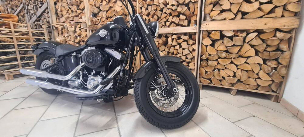 Harley-Davidson 1690 Slim (2011 - 16) - FLS (4)