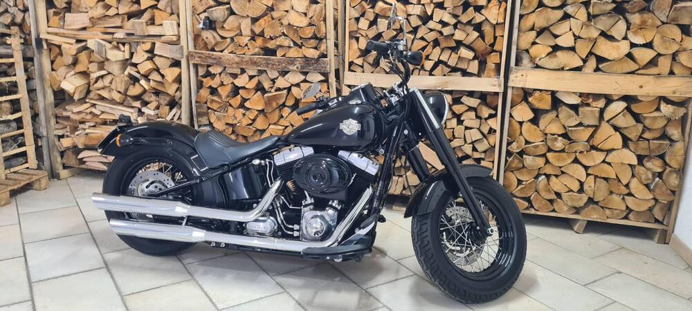 Harley-Davidson 1690 Slim (2011 - 16) - FLS (5)